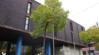 Das Landgericht in Mannheim von außen. Hier findet ein Prozess gegen drei Personen statt, die im Verdacht stehen, einen Anschlag auf „Ungläubige“ geplant zu haben.