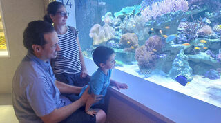 Das Großaquarium hat 21 Becken.