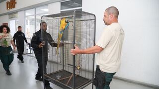 Laut Polizei bringt der Tierhandel der organisierten Kriminalität Millionen ein.