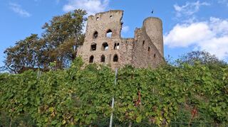 Die Strahlenburg wacht über die Weinberge und bietet einen phantastischen Blick über Schriesheim.