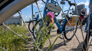 Das VRNnextbike erfreut sich nicht nur in Mannheim (Bild), sondern auch in Edingen-Neckarhausen großer Beliebtheit.