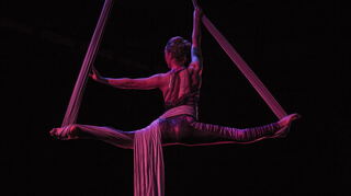 Aerial Silk kennen viele aus Akrobatik-Shows.