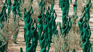Intensives Grün: Spencer Tunicks erste Kunstinstallation in Andalusien.