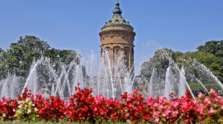 Der Mannheimer Wasserturm: Er weckt bei Herbert Haas Heimatgefühle.