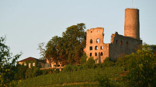 Ziel der Spendenaktion: die Strahlenburg hoch über Schriesheim.