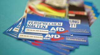 Die AfD brachte keinen ihrer Kandidaten in den Stichwahlen durch.