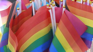 Regenbogenfahnen - Symbol der Community - auf einem Christopher Street Day. (Archivbild)