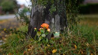 Auch an einem Baum in der Nähe des Tatorts wurden Blumen abgelegt.