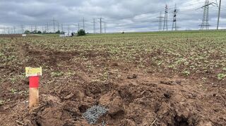 Bodenuntersuchungen auf dem Gelände des geplanten Umspannwerks Mannheim-Ost in Heddesheim: Ein markiertes und wiedser verfülltes Bohrloch.