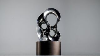 Diesen Award erhalten die Preisträger.