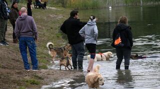 Die Hundebesitzer nutzen den Tag ebenfalls zum Austausch.