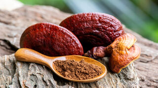 Reishi ist vor allem aufgrund seiner entzündungshemmenden Wirkung so beliebt.