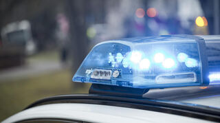 Die Polizei hat in einem Waldgebiet bei Schwetzingen die Reste einer Cannabisplantage entdeckt. (Symbolbild)