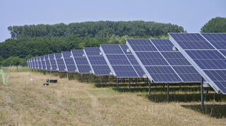 Mit aufgeständerten Solarmodulen wird auf dem Gelände „Im Bruch“ in Lampertheim Solarstrom erzeugt.