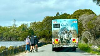 Die meisten Touristen auf Rottnest Island fahren Fahrrad - oder mit dem Quokka-Bus.