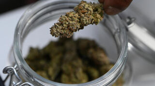 Cannabis-Konsum ist in der Mannheimer Neckarstadt-West weit verbreitet.