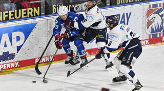 Die Adler Mannheim spielen in der SAP-Arena gegen die Iserlohn Roosters.