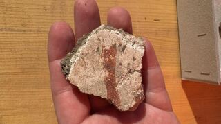 Wandputzfragment mit Bemalung: Dieser Fund bei archäologischen Ausgrabungen in Heddesheim könnte ein Hinweis auf eine Villa Rustica sein.