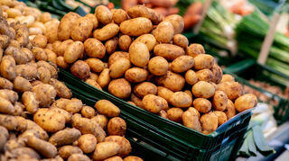 Zahlreiche Kartoffeln verschiedener Sorten liegen an einem Obst- und Gemüsestand auf einem Wochenmarkt zum Verkauf.