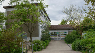 Der Baum vor dem Pavillon an der Martin-Stöhr-Schule soll erhalten bleiben.
