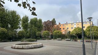 Der Roggenplatz ist an diesem Tag vergleichsweise sauber. Die Aufnahme stammt von Dienstag, 7. Oktober, um die Mittagszeit.