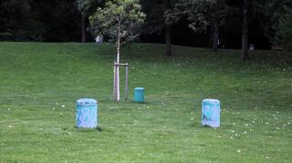 Die Mülleimer laufen im Sommer oft über oder werden gar nicht erst benutzt.