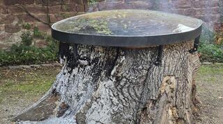 Der Treff an der alten Eiche im Schlosspark Neckarhausen wurde 2016 durch Spendengelder ermöglicht. Jetzt wurde der tragende Baumstumpf angezündet.