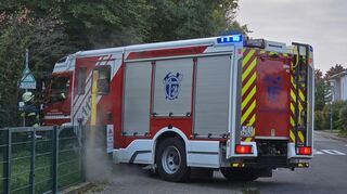 Die Freiwillige Feuerwehr Edingen-Neckarhausen musste am Sonntagmorgen in den Schlosspark ausrücken.