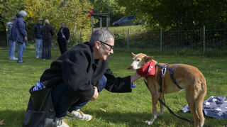 Viel Sympathie für und Interesse an den Hunden, die beim „Bark Date“ vermittelt werden sollen, zeigen die Besucher auf der Wiese in Rohrbach Süd.