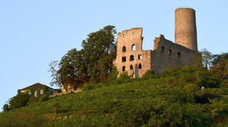 Die Schriesheimer Strahlenburg ist weit über die Region hinaus bekannt.