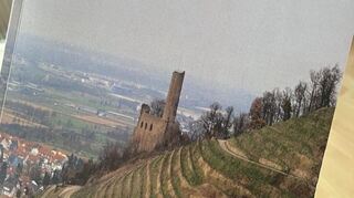 Auf dem Cover eines der Bücher befindet sich die Schriesheimer Strahlenburg.