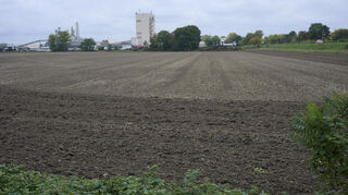 Auf dieser Fläche an der Wormser Straße in Lampertheim könnte eine Industriehalle Platz für produzierendes Gewerbe bieten. Im Hintergrund die Firma Marmorit.