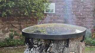 Vandalismus-Fall: Der Treff an der alten Eiche im Schlosspark Neckarhausen wurde 2016 durch Spendengelder ermöglicht. Jetzt wurde der tragende Baumstumpf angezündet.