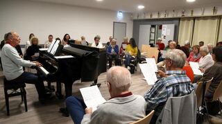 Das erste Seckenheimer Pop Ensemble aus Mannheim singt vor allem Pop-Songs, Oldies und Musicalmelodien.