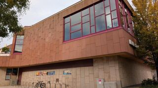 Eine grüne Wand am Hallenbad in Viernheim soll die Attraktivität des Rovigoplatzes erhöhen und das Kleinklima in der Stadt verbessern.