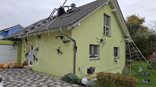 Auf dem Dach wartet eine Monsterspinne, bis ihr etwas ins Netz geht.