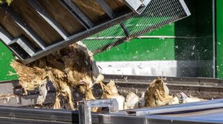 Wegen der Geflügelpest müssen in Deutschland derzeit viele Tausend Hühner, Gänse, Enten und Puten gekeult werden.