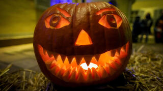 Die aus Kürbis geschnitzten Kunstwerke, ausgestellt auf Strohballen, zogen beim Lichterfest in Edingen-Neckarhausen viele Blicke auf sich.