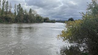 Der Altneckar in Höhe des ehemaligen Campingplatzes Neuostheim. Am gegenüberliegenden Ufer ist der Abzweig des Feudenheimer Kraftwerkskanals (Bildmitte) zu erkennen.