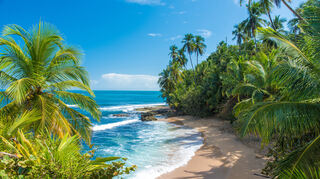 Barfuß durchs Paradies: Costa Ricas Küsten sind pure Magie.