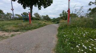 Der Beginn der Radwegs von Ilvesheim nach Ladenburg. Die Probleme sind der schlechte Zustand und die Tatsache, dass die Verbindung bei Hochwasser häufig nicht nutzbar ist.