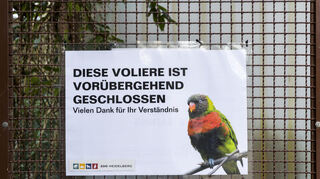Vor drei Jahren mussten Vögel im Heidelberger Zoo schon einmal wegen der Vogelgrippe umziehen. Noch ist es diesmal allerdings nicht so weit.
