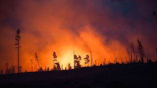 Waldbrände fachen mit ihren Emissionen die Erderwärmung zusätzlich an. (Illustraiton)