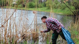 <p>Nach Unrat sucht Sebastian Thomas, Erster Vorsitzender des Angelsportvereins, im Uferbereich des Waldsees.</p>