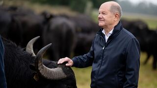 Hat als einfacher Abgeordneter nun mehr Zeit: Der frühere Bundeskanzler Olaf Scholz (SPD). (Archivbild)