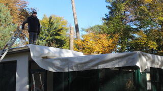 Mario Lohrbächer zurrt auf dem Gehege der Wellensittiche im Viernheimer Vogelpark die Plane fest, die die Vögel vor der Vogelgrippe schützen soll.