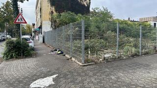 Auf diesem brachliegenden Grundstück auf dem westlichen Waldhof soll es viele Ratten geben.