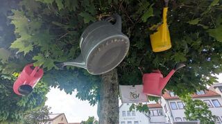 Mit dieser Aktion auf dem Chécy-Platz vor dem Rathaus macht der Obst- und Gartenbauverein Ilvesheim auf sein 100-jähriges Bestehen aufmerksam.