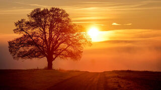 Wetter im Südwesten (Symbolbild).