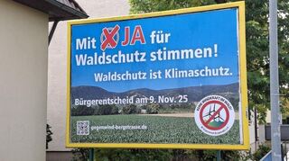 Die Initiatoren des Bürgerentscheids vom kommenden Sonntag wollen Windkraftanlagen am Weißen Stein hoch über Schriesheim und Dossenheim verhindern.